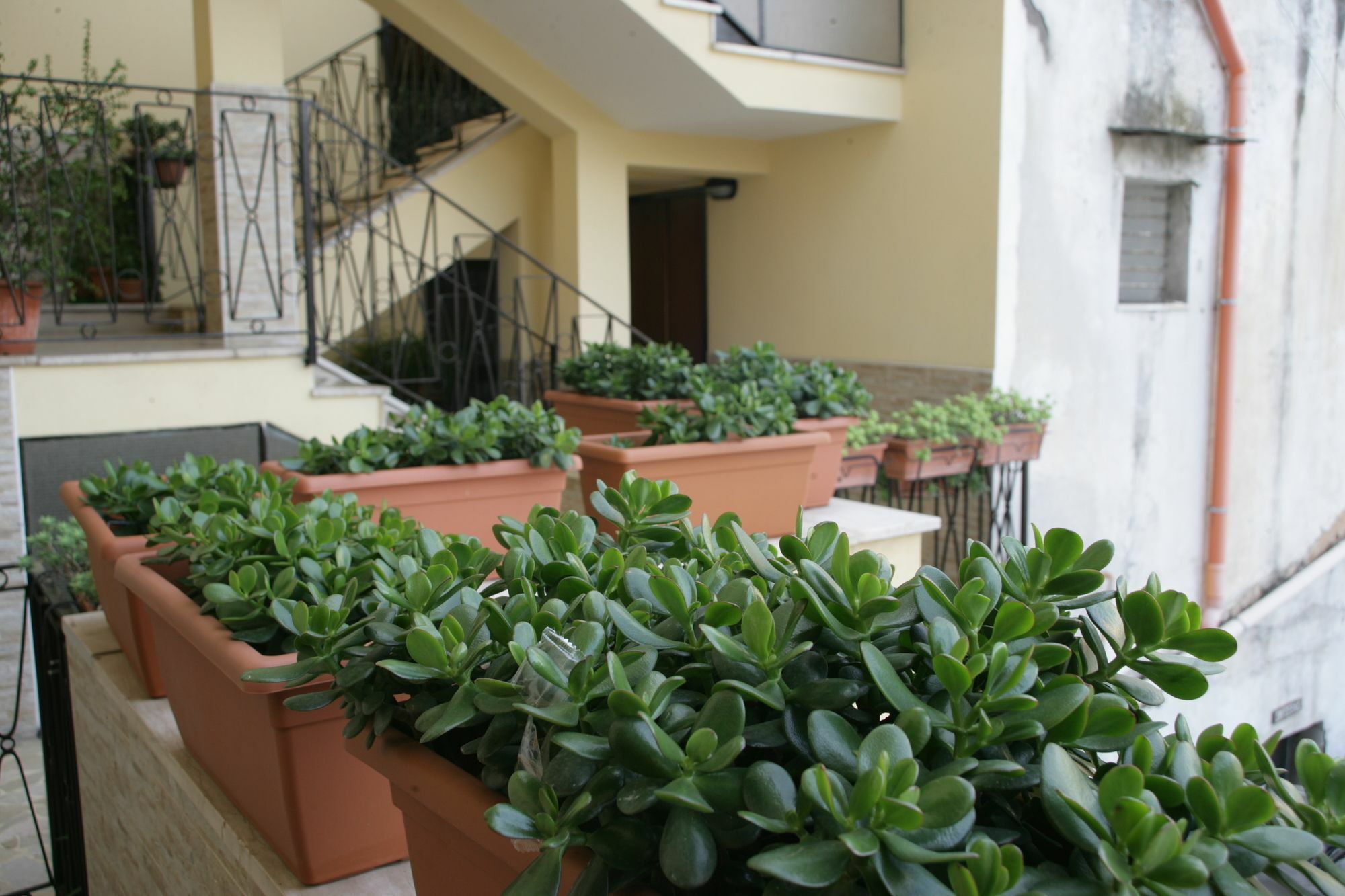 Casa Carmen Appartement Napels Buitenkant foto